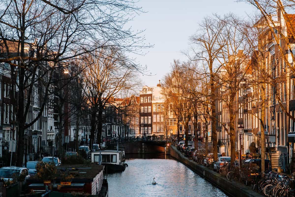 que ver en amsterdam