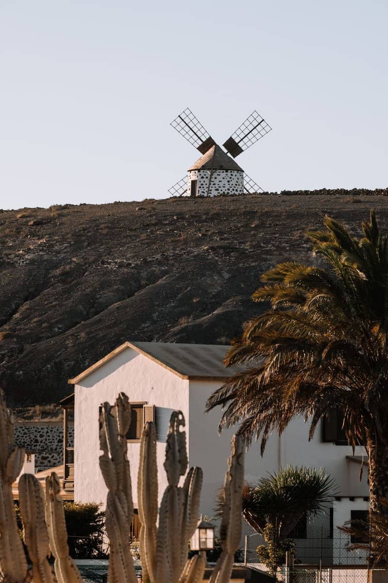 imprescindibles-en-fuerteventura