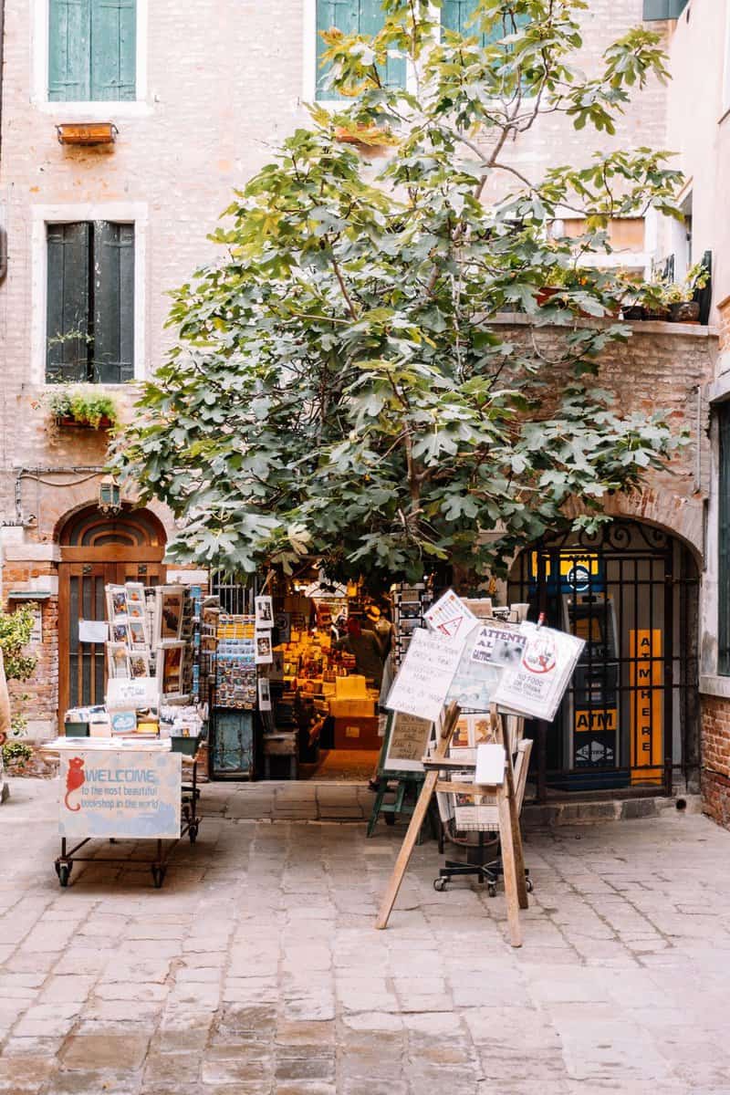 Librería Acqua Alta en venecia