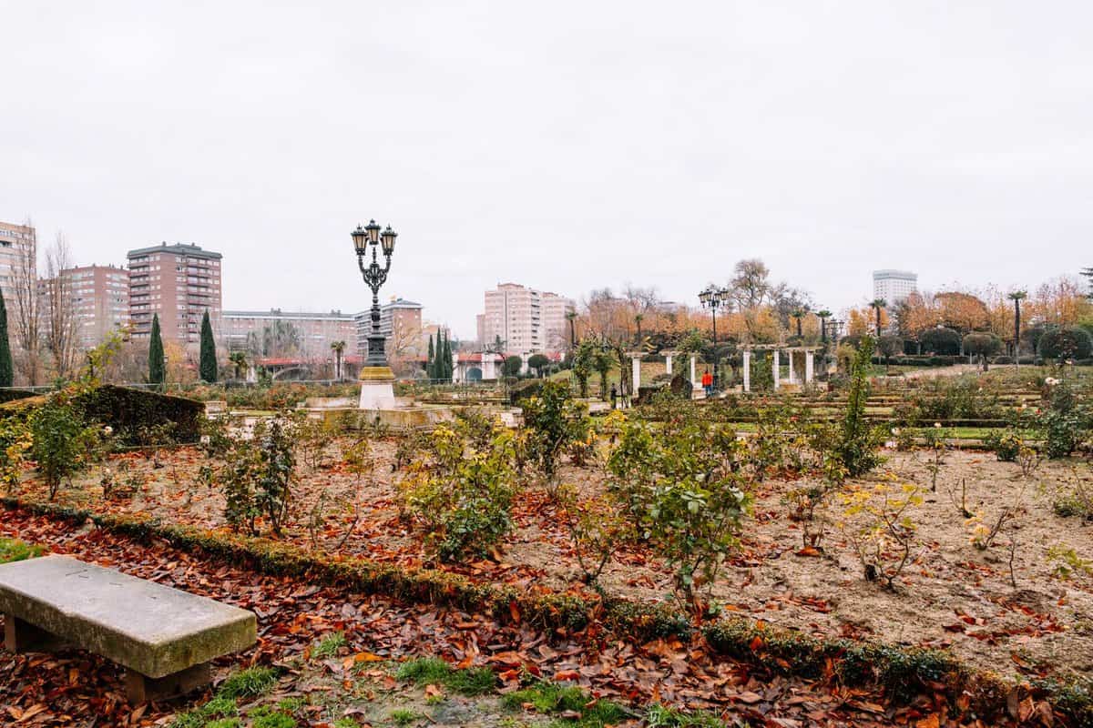 que-ver-en-valladolid-en-un-día