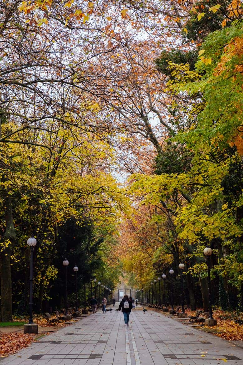 campo grande valladolid