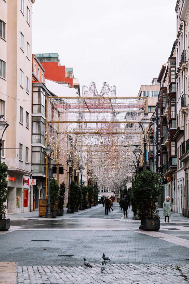 que ver en valladolid en un dia