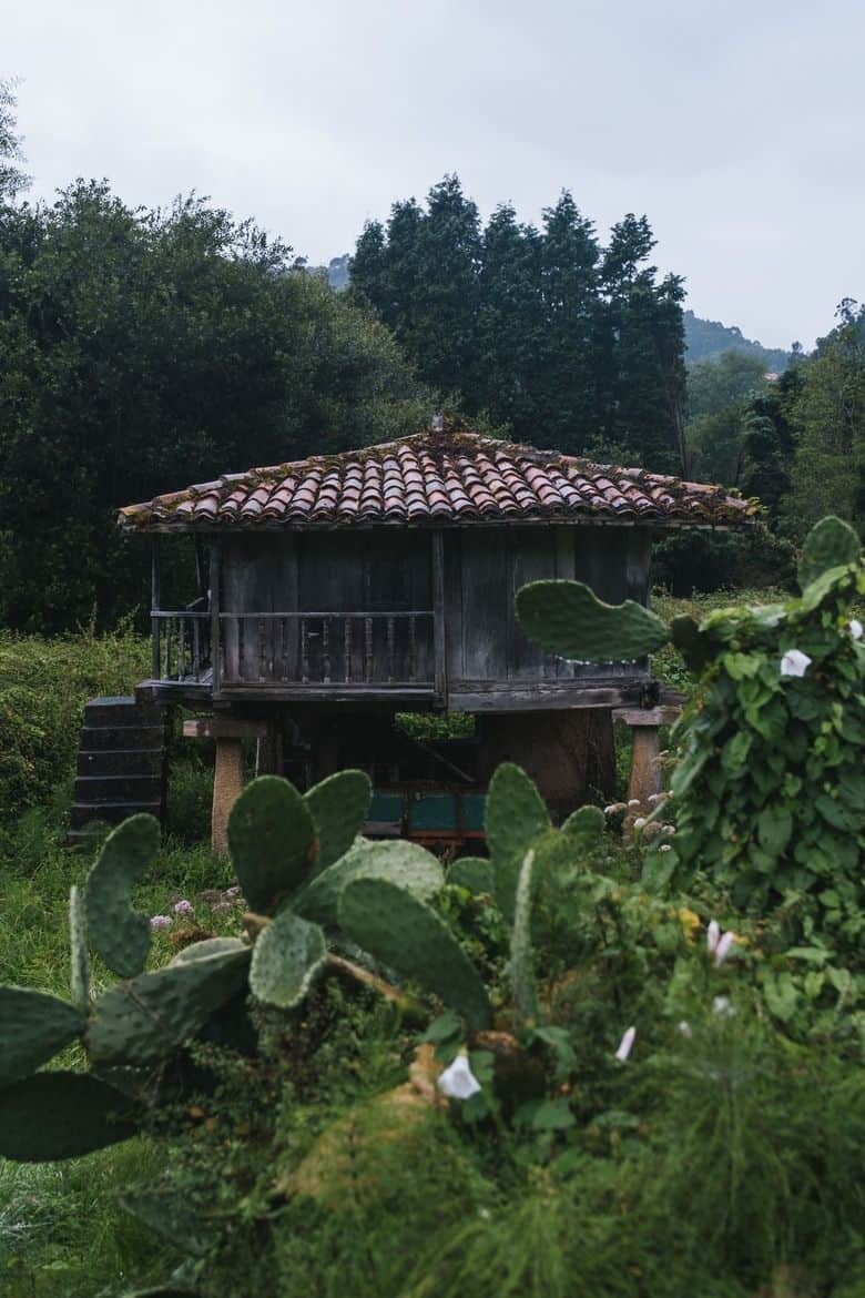ruta-por-asturias