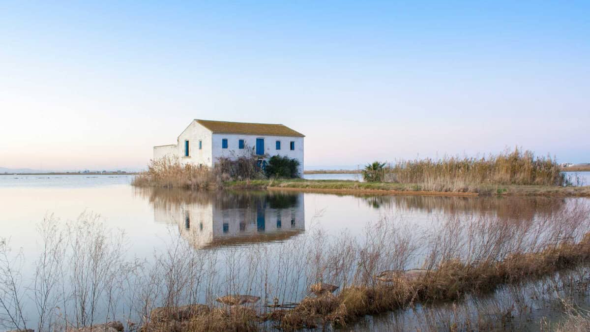 albufera de valencia que ver en valencia
